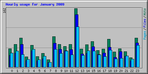 Hourly usage for January 2009