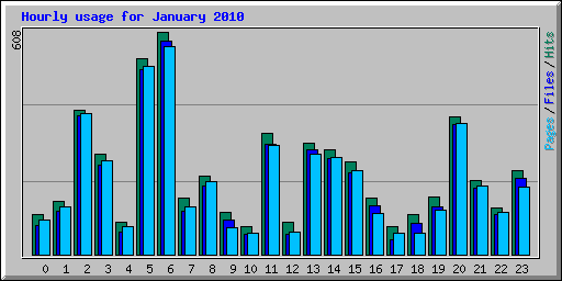 Hourly usage for January 2010