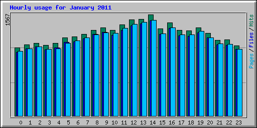 Hourly usage for January 2011